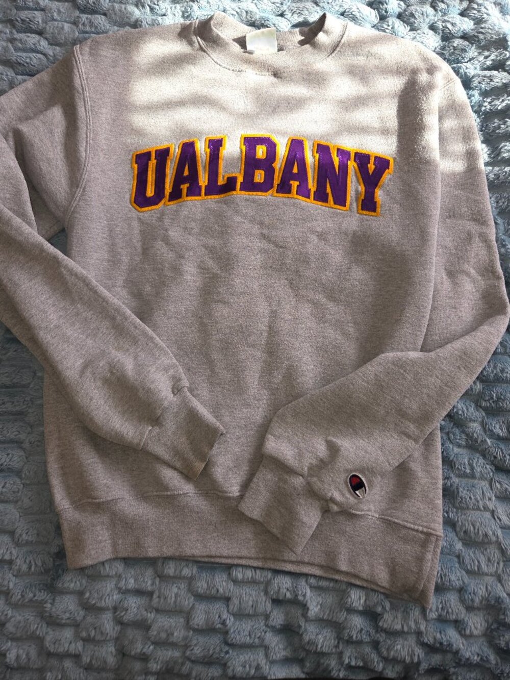 Adult size small UAlbany sweatshirt